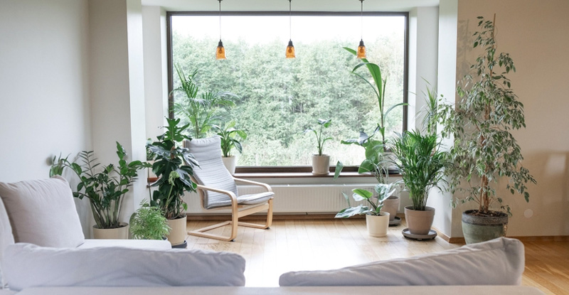 Phong cách thiết kế eco